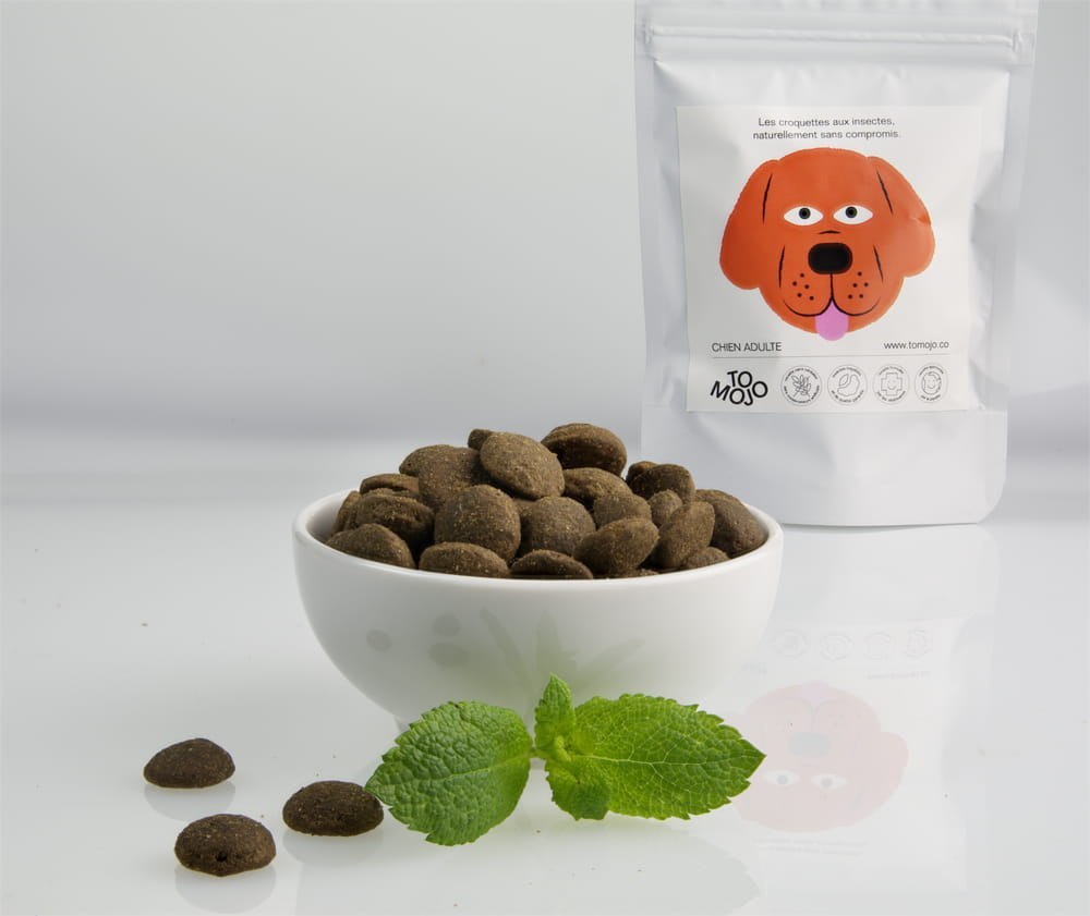TOMOJO karma z insektów dla psów (2kg)
