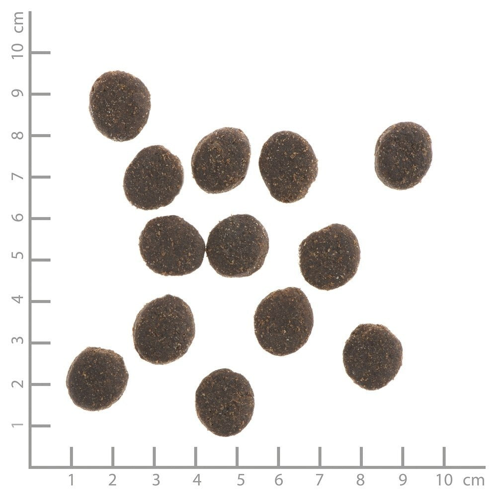 WILDES LAND DOG Kaninchen - królik z ziemniakami i ziołami (12kg)