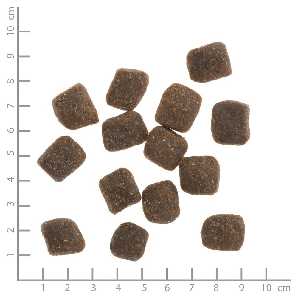 WILDES LAND DOG Soft Lamm - jagnięcina - półwilgotna karma dla psa (1,5kg)