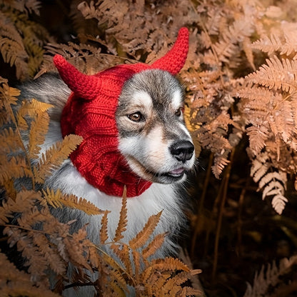 Czapka z rogami diabła dla psa i kota