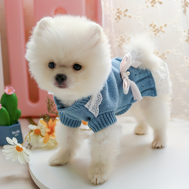Dzianinowy sweterek dla małych psów „Cute Blue Skirt Sweater”