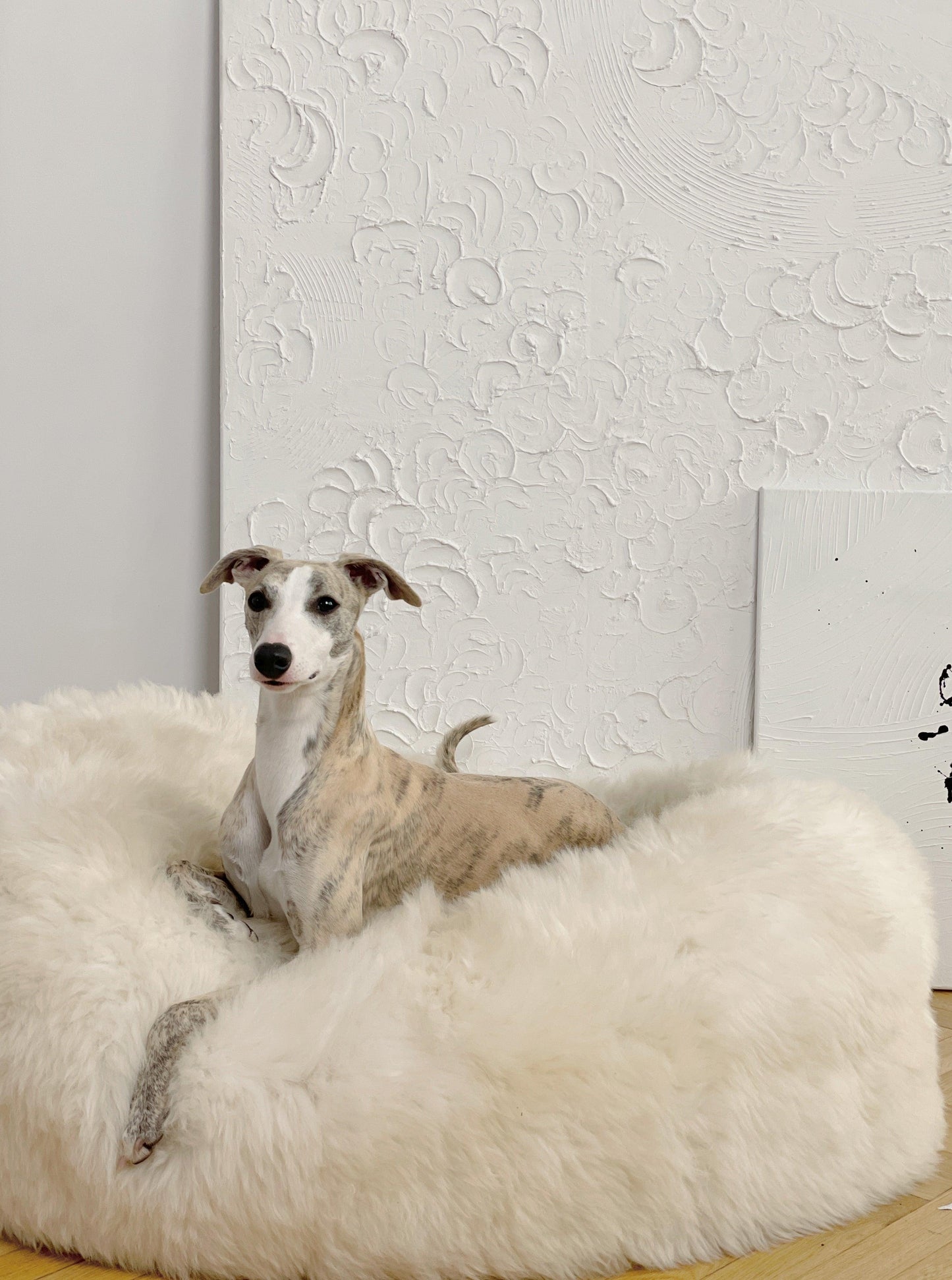 Oval Natural Sheepskin Pet Bed - White-1