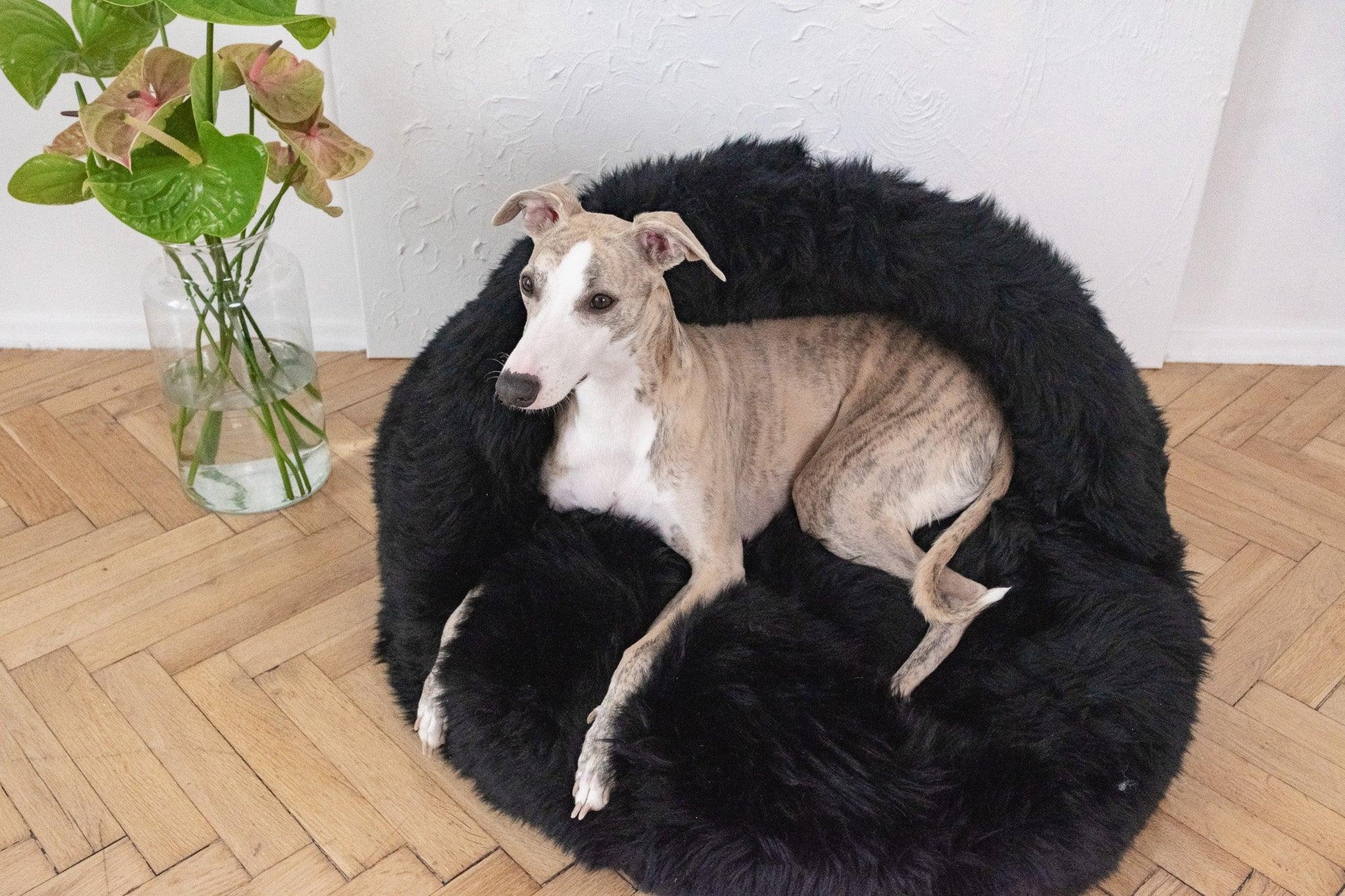 Natural Sheepskin Pet Cave - Black-1
