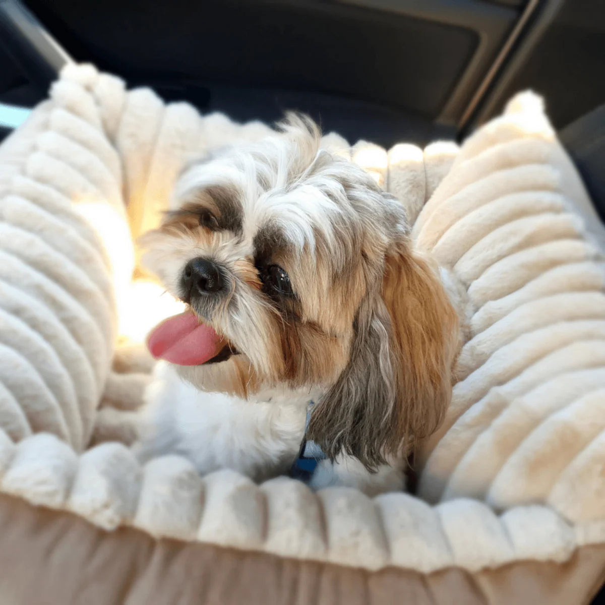 PETTO Oi Fluffy siedzisko samochodowe fotelik dla psa