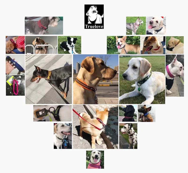 Truelove – Wytrzymała i miękka obroża nylonowa z podszyciem i odblaskiem