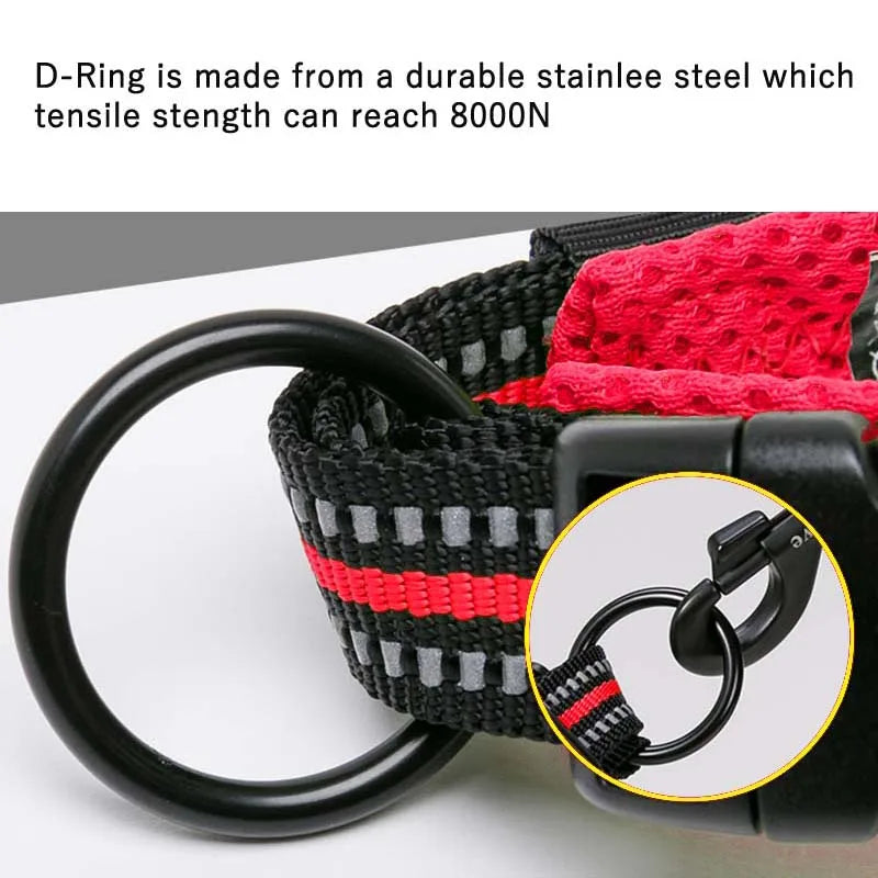 Truelove – Wytrzymała i miękka obroża nylonowa z podszyciem i odblaskiem