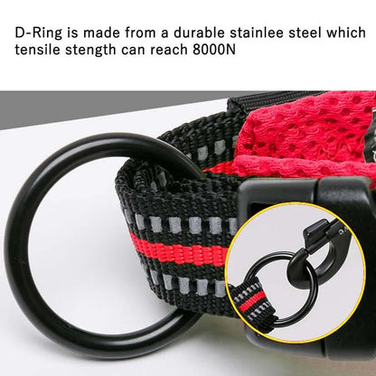 Truelove – Wytrzymała i miękka obroża nylonowa z podszyciem i odblaskiem