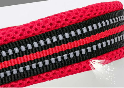 Truelove – Wytrzymała i miękka obroża nylonowa z podszyciem i odblaskiem