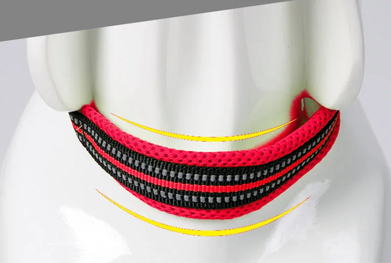 Truelove – Wytrzymała i miękka obroża nylonowa z podszyciem i odblaskiem