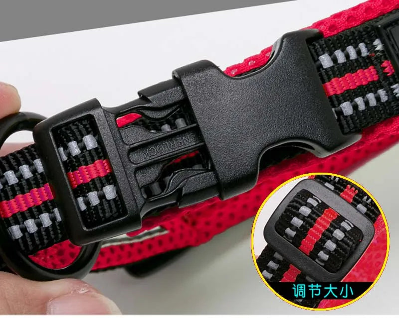 Truelove – Wytrzymała i miękka obroża nylonowa z podszyciem i odblaskiem