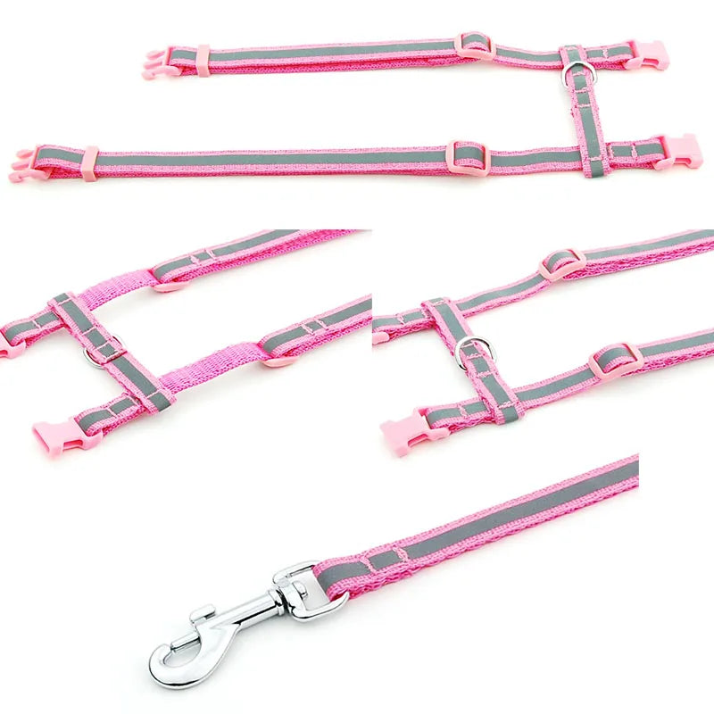 Regulowane szelki i smycz dla kota i małego psa🌟