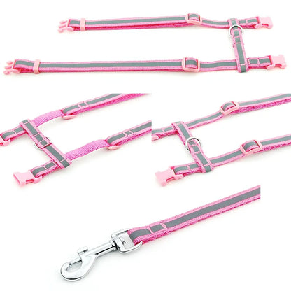 Regulowane szelki i smycz dla kota i małego psa🌟