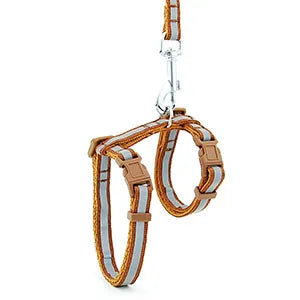 Regulowane szelki i smycz dla kota i małego psa🌟