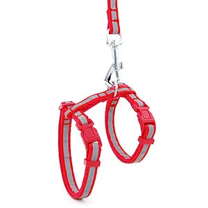 Regulowane szelki i smycz dla kota i małego psa🌟