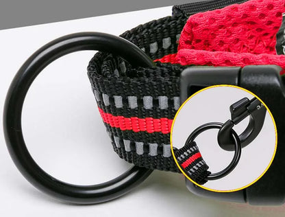 Truelove – Wytrzymała i miękka obroża nylonowa z podszyciem i odblaskiem