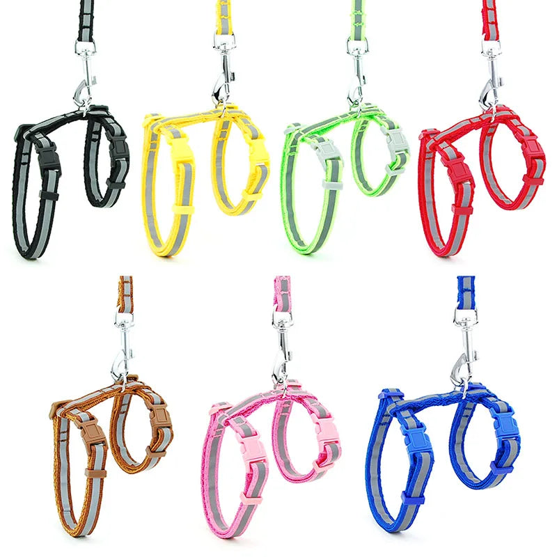 Regulowane szelki i smycz dla kota i małego psa🌟