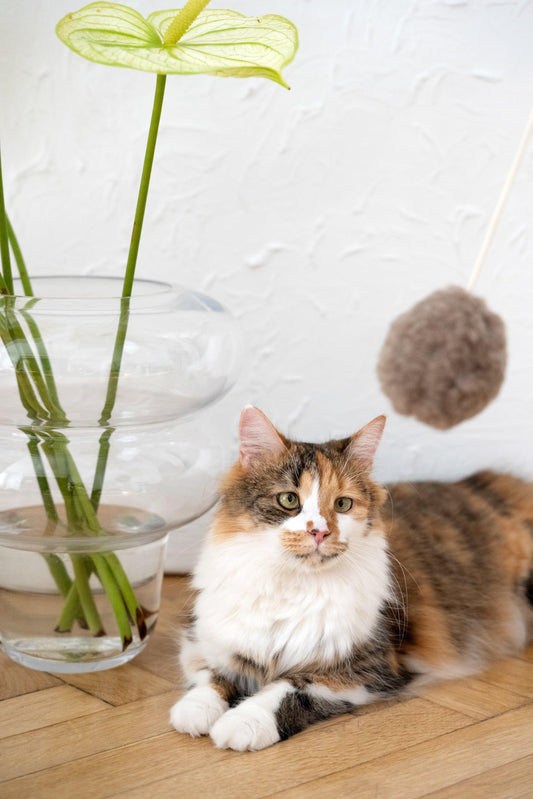Natural Woolen Cat Toy: Ball-0