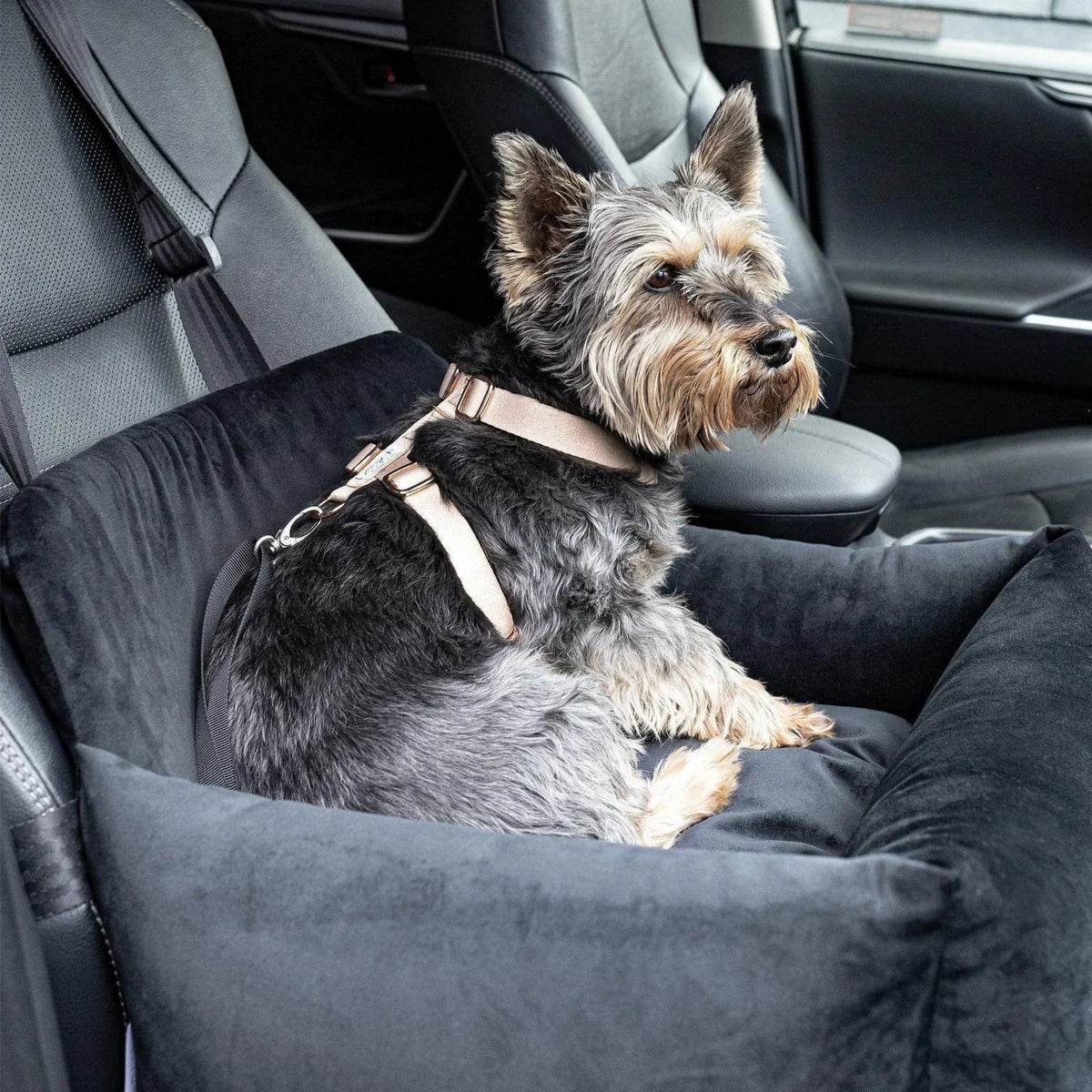 PETTO Oi siedzisko samochodowe fotelik dla psa