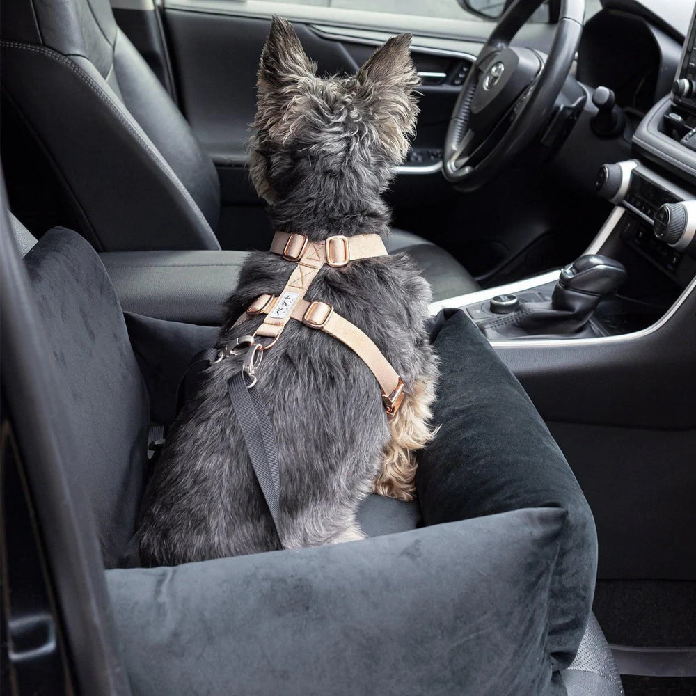 PETTO Oi siedzisko samochodowe fotelik dla psa