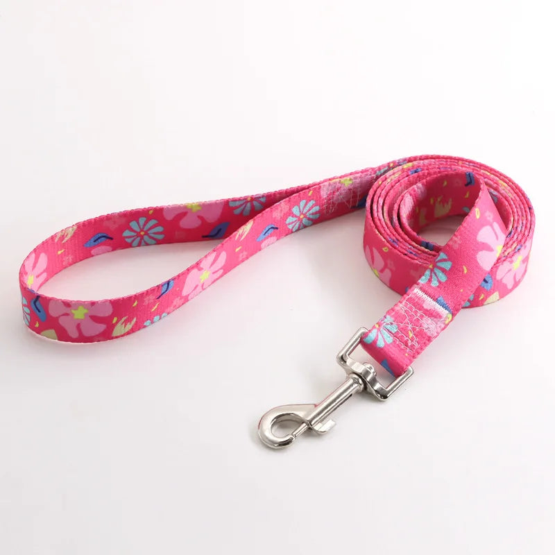 Kolorowa obroża i smycz dla psa – zestaw idealny na spacery! 🐶🐱