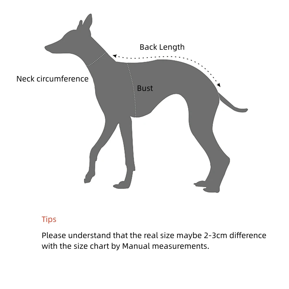Jesienny strój retro w brytyjskim stylu – koszula i kamizelka dla psa