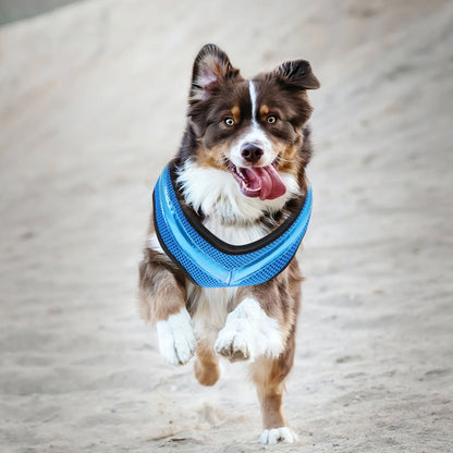 Świecąca kamizelka LED dla psa – bezpieczeństwo i styl podczas nocnych spacerów