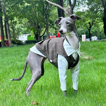 Jesienny strój retro w brytyjskim stylu – koszula i kamizelka dla psa