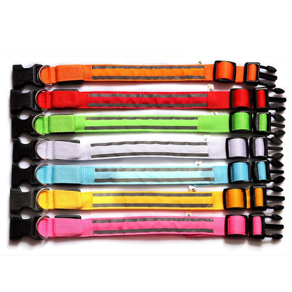 Świecąca obroża LED dla psa – bezpieczeństwo i widoczność w nocy