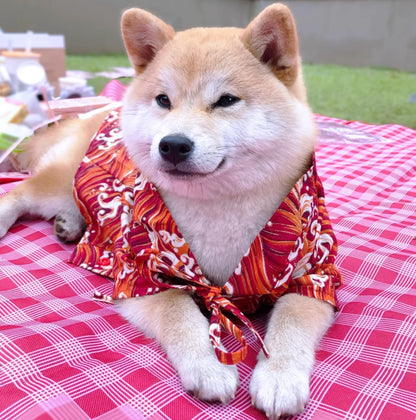 Japoński Styl – Kimono dla Psów  🐶🐱