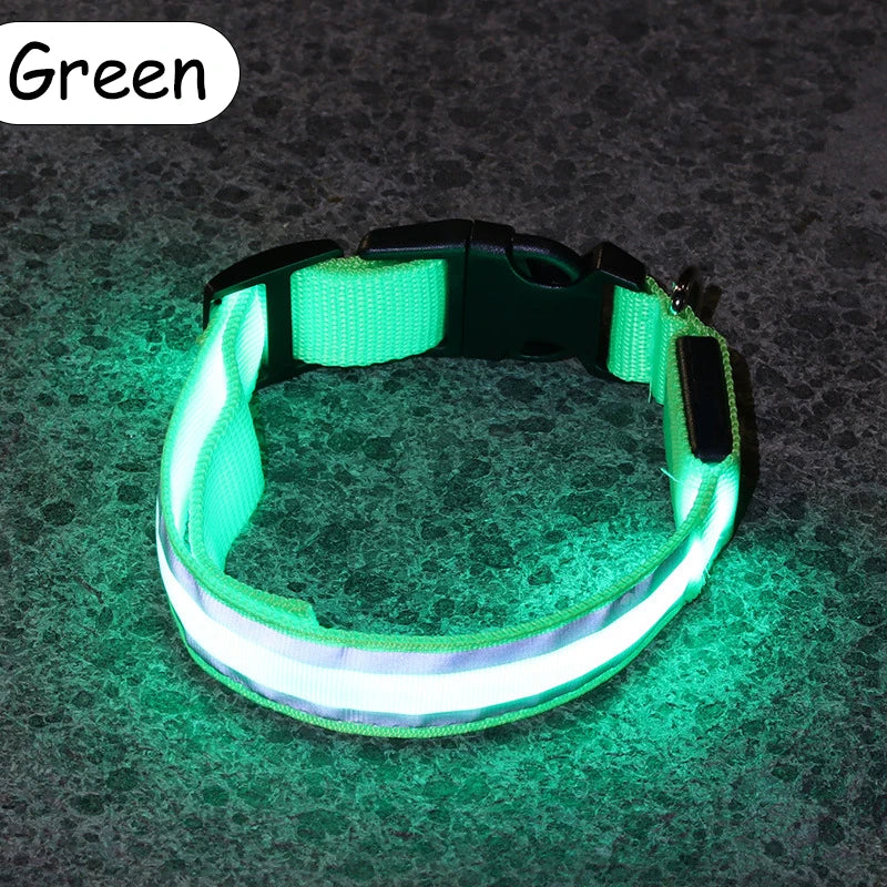 Świecąca obroża LED dla psa – bezpieczeństwo i widoczność w nocy