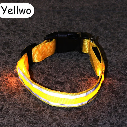 Świecąca obroża LED dla psa – bezpieczeństwo i widoczność w nocy