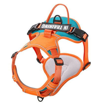 Bezuciskowe Szelki dla Psa – Komfort i Bezpieczeństwo na Każdym Spacerze! 🐶