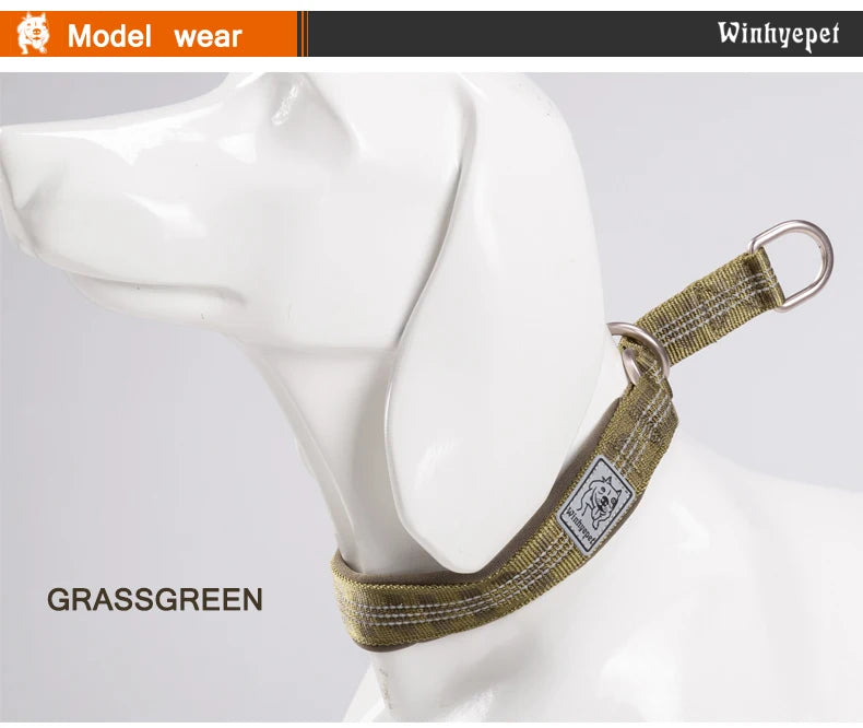 Truelove – Profesjonalna Obroża Szkoleniowa dla Psa 🐶