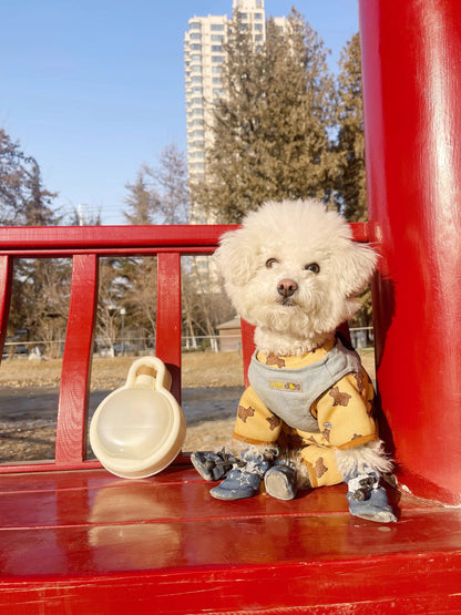 🐾 Przenośna Butelka na Wodę dla Psa – Składany Kubek o Dużej Pojemności