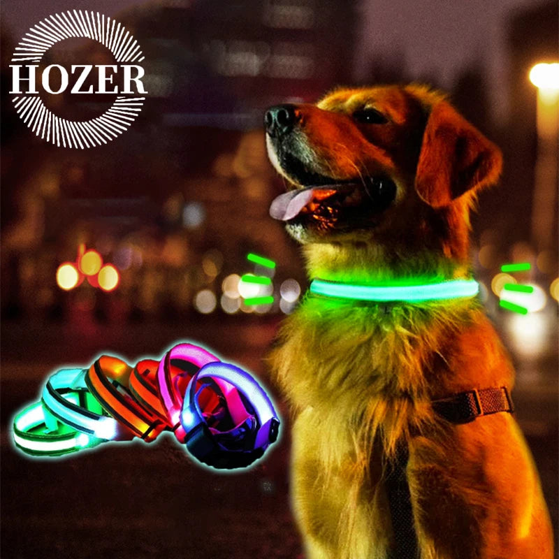 Świecąca obroża LED dla psa – bezpieczeństwo i widoczność w nocy