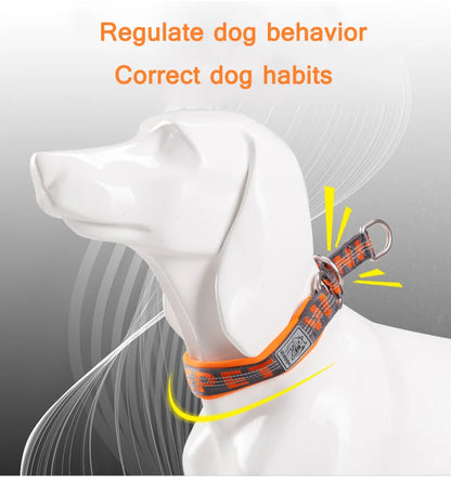 Truelove – Profesjonalna Obroża Szkoleniowa dla Psa 🐶