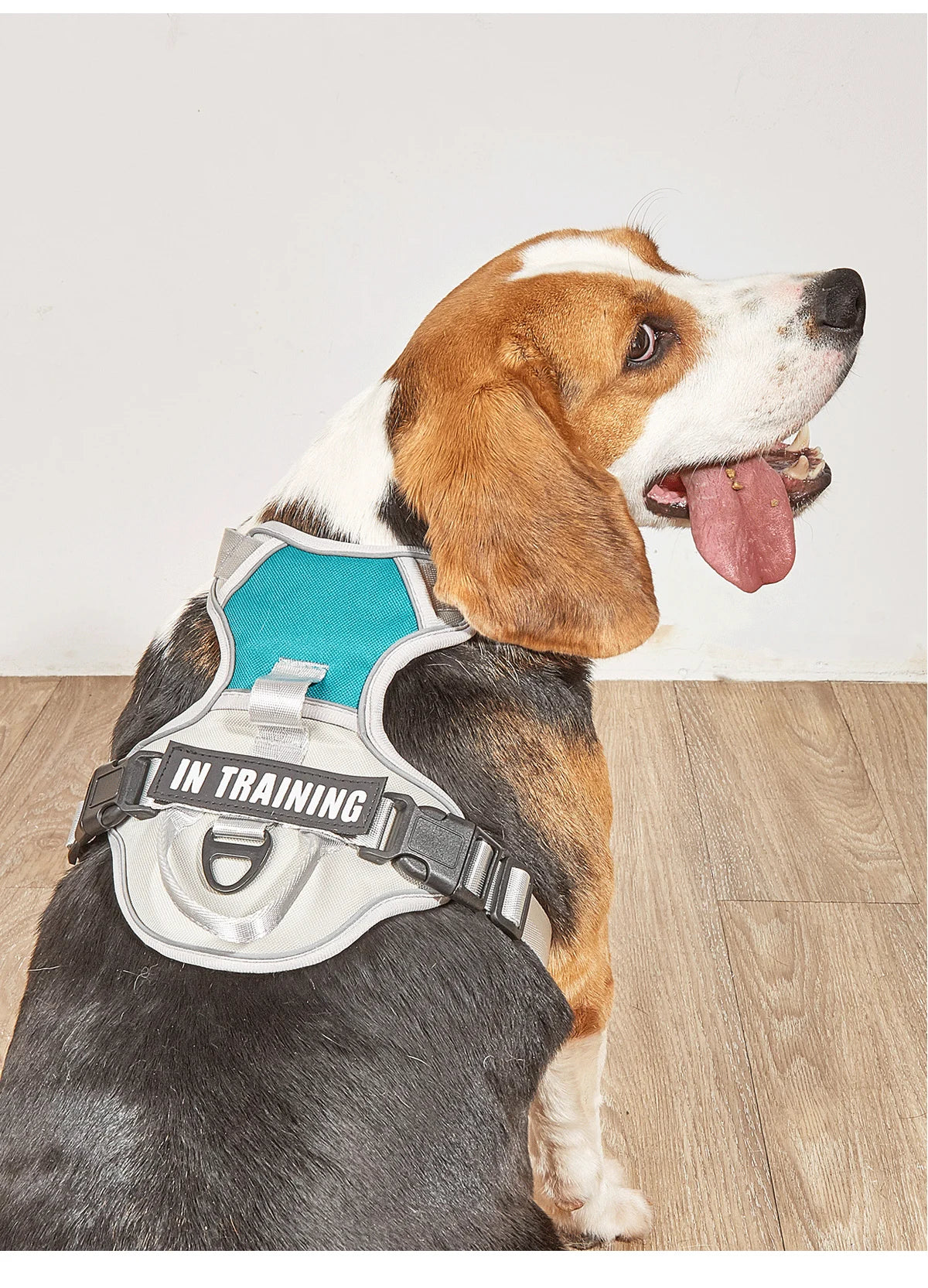 Bezuciskowe Szelki dla Psa – Komfort i Bezpieczeństwo na Każdym Spacerze! 🐶