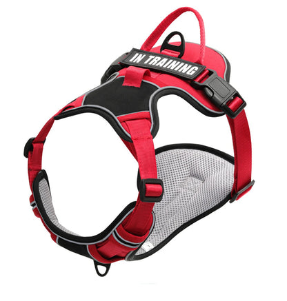 Bezuciskowe Szelki dla Psa – Komfort i Bezpieczeństwo na Każdym Spacerze! 🐶