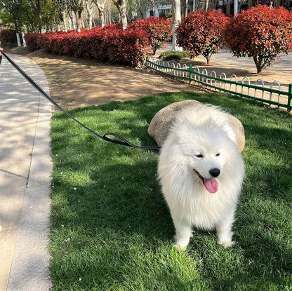 🐾 Wytrzymała Smycz dla Psa z Podwójnymi Uchwytami