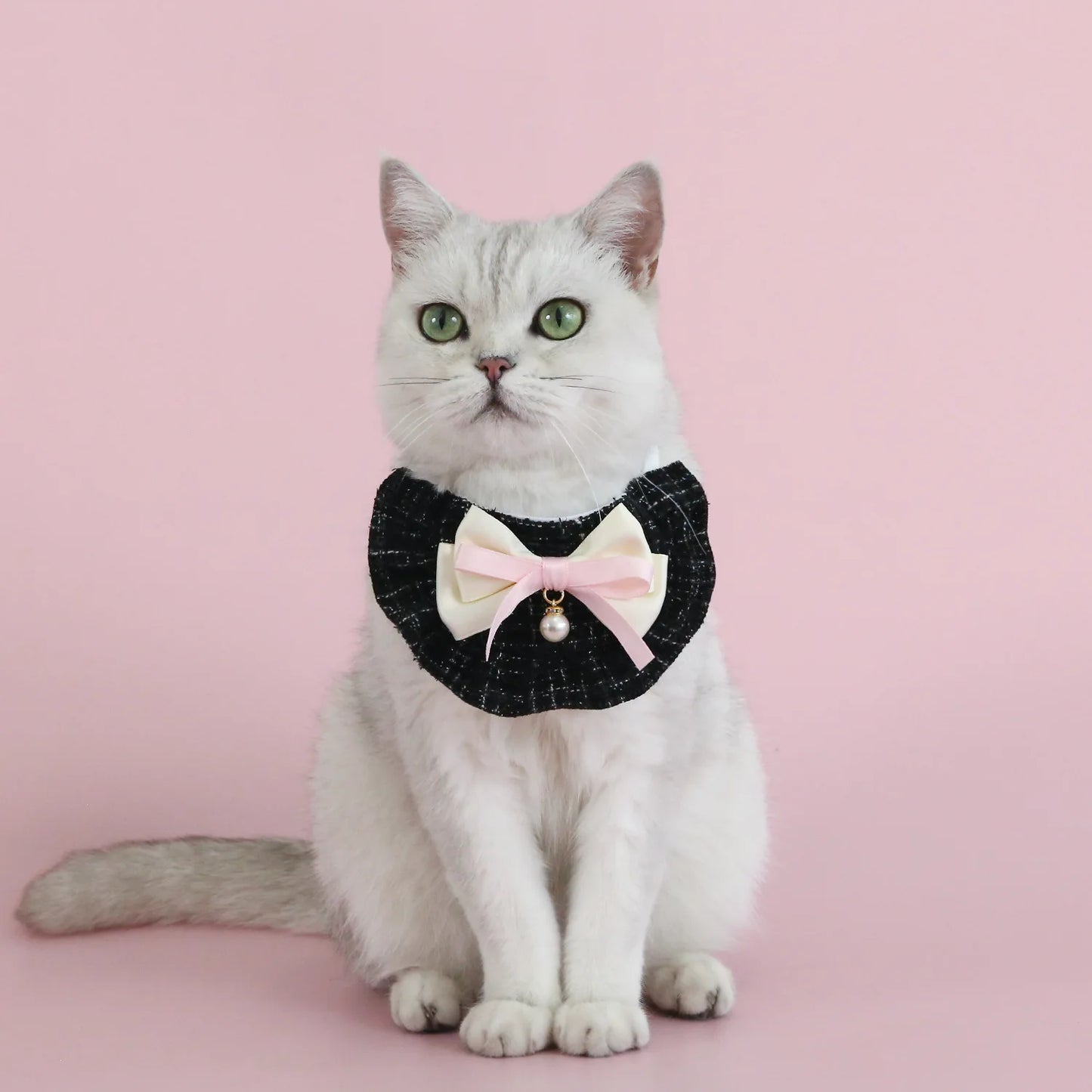 Elegancki Strój Księżniczki dla Pupila