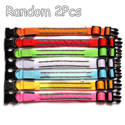 Świecąca obroża LED dla psa – bezpieczeństwo i widoczność w nocy