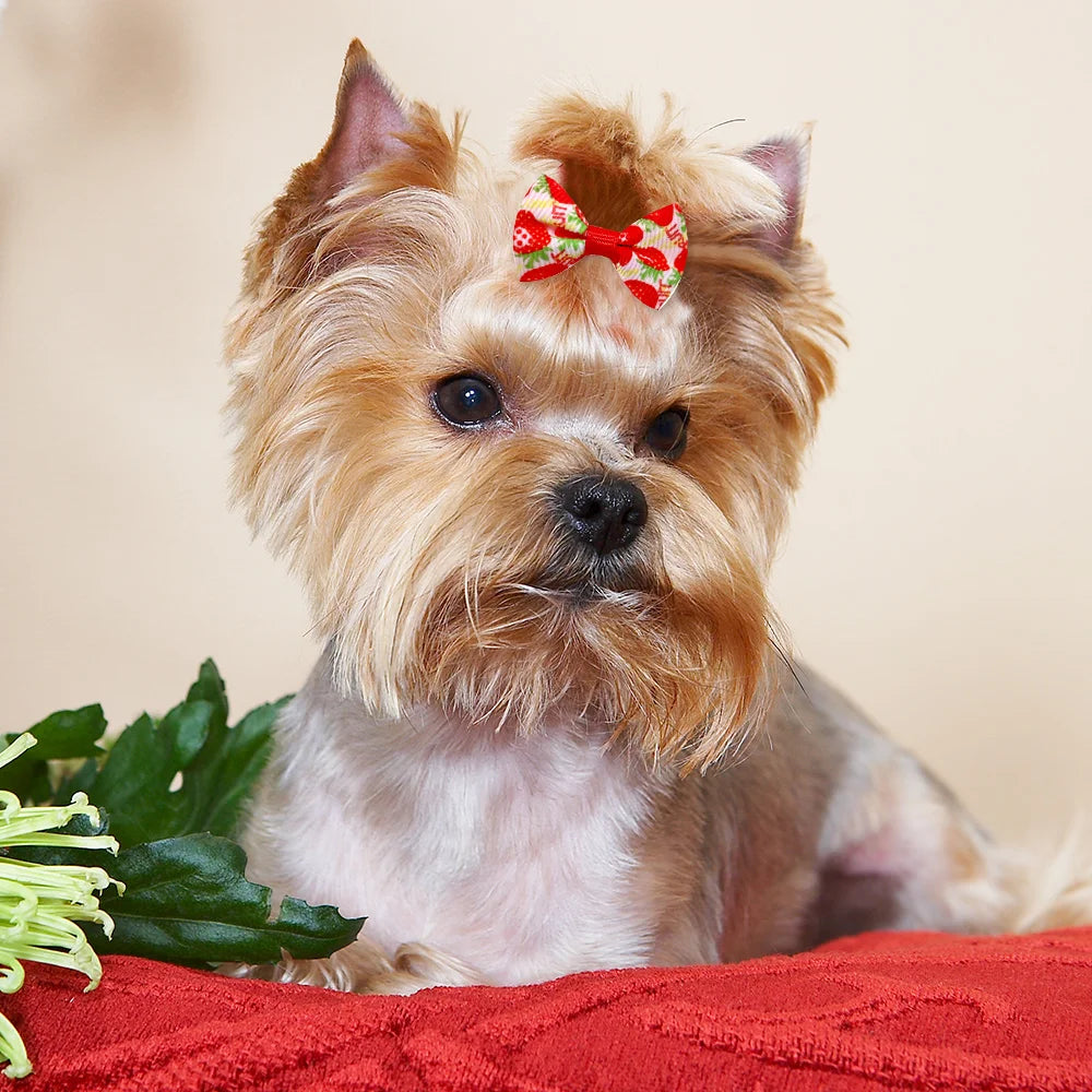 🎀 Zestaw 30/50 Kokardek dla Psów – Ręcznie Robione Ozdoby do Włosów z Gumką 🐶✨