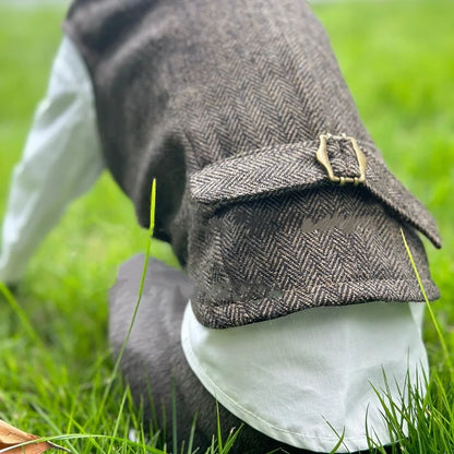 Jesienny strój retro w brytyjskim stylu – koszula i kamizelka dla psa