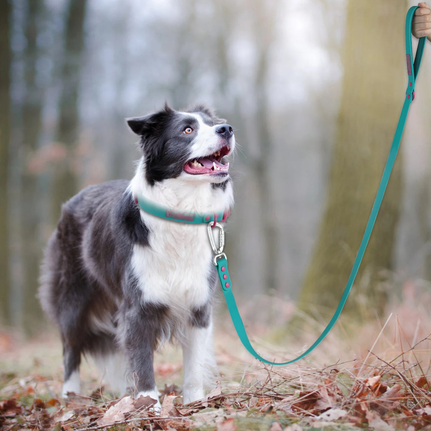 🐾 Uchwyt na Worki na Odchody + Smycz dla Psa