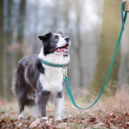 🐾 Uchwyt na Worki na Odchody + Smycz dla Psa