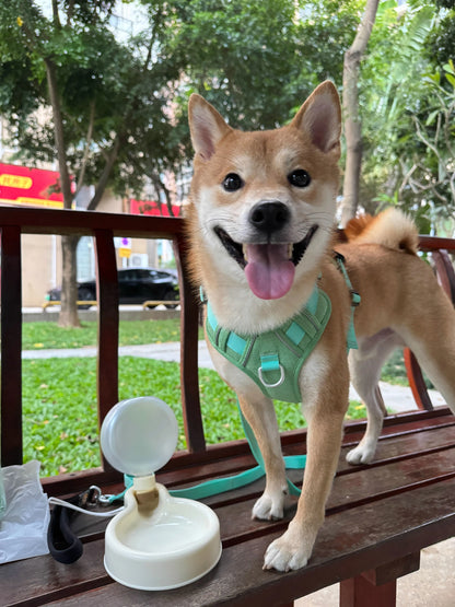 🐾 Przenośna Butelka na Wodę dla Psa – Składany Kubek o Dużej Pojemności