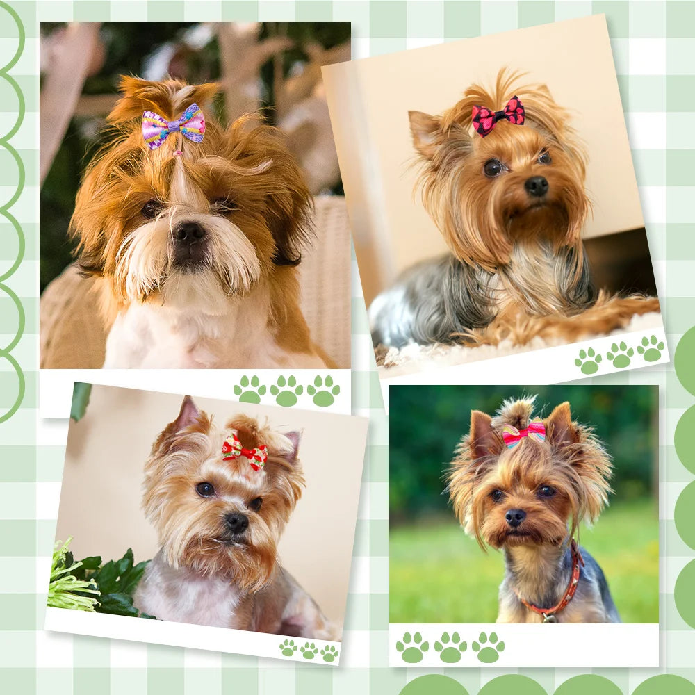 🎀 Zestaw 30/50 Kokardek dla Psów – Ręcznie Robione Ozdoby do Włosów z Gumką 🐶✨
