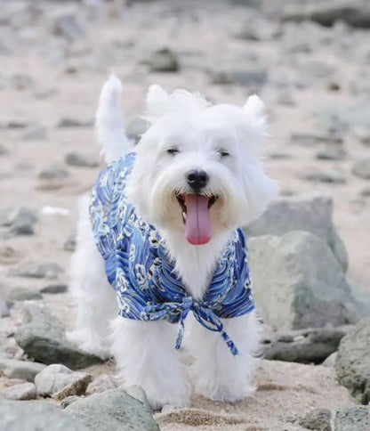 Japoński Styl – Kimono dla Psów  🐶🐱