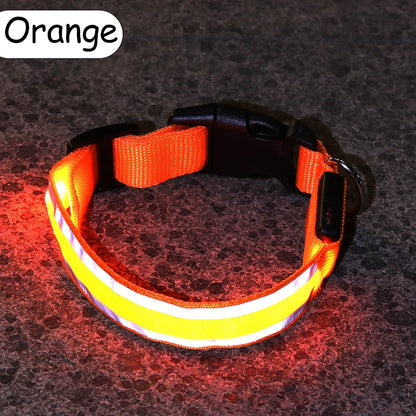 Świecąca obroża LED dla psa – bezpieczeństwo i widoczność w nocy