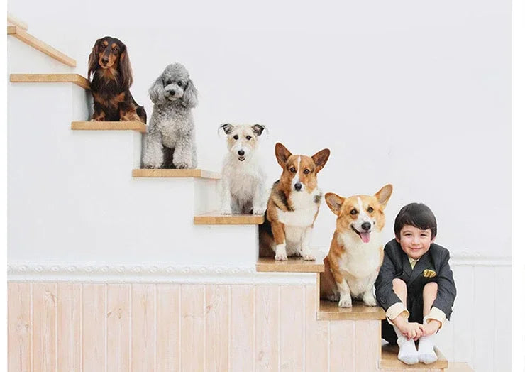 🐶 Ciepłe Legowisko dla Psów i Kotów – Miękkie, Przytulne i Stylowe